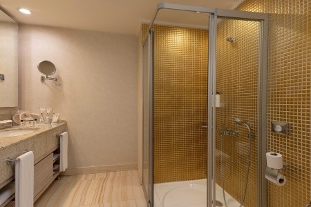 Royal Alhambra Palace - 56