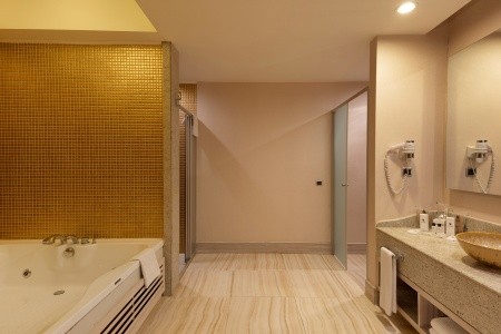 Royal Alhambra Palace - 65