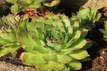 Apartmány 3298-1793 - 22