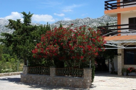 Apartmány 3298-1444 - 4