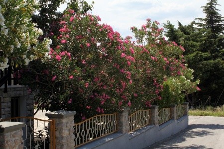 Apartmány 3298-1444 - 5