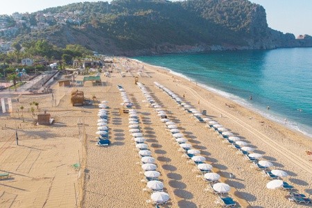 Villa Sunflower - 120