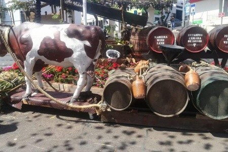 Madeira, ostrov květů a slunce - 1