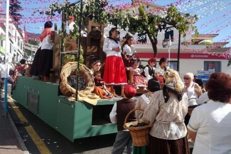 Madeira, ostrov květů a slunce - 2