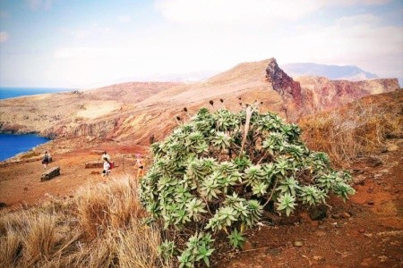 Madeira, ostrov květů a slunce - 7