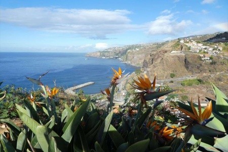 Madeira, ostrov květů a slunce - 8