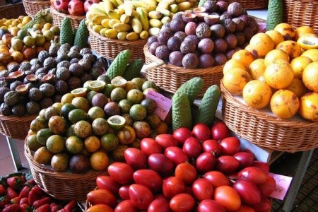 Madeira ostrov květů a slunce, letecky z Brna - 1