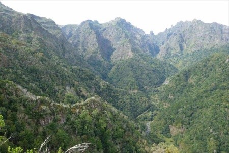 Madeira ostrov květů a slunce - 8