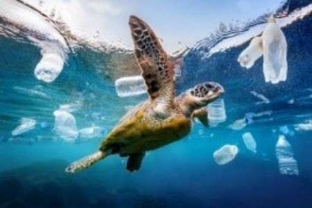 Műanyagtilalom Egyiptomban: fontos tudnivalók utazás előtt