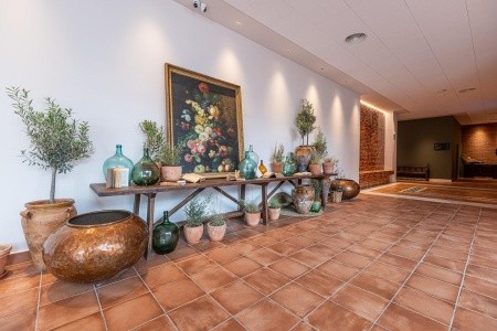 Estival Park Marena  (La Pineda) - 4