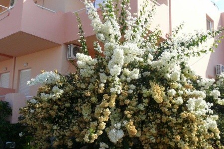 Alexandros Studia A Apartmány - 10