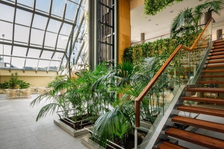 Alegria Caprici Verd - 5