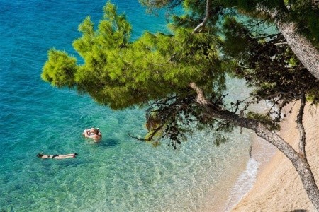 Bungalov Sagitta Holiday - 20