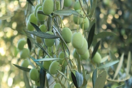 Apartmány 3298-2028 - 44