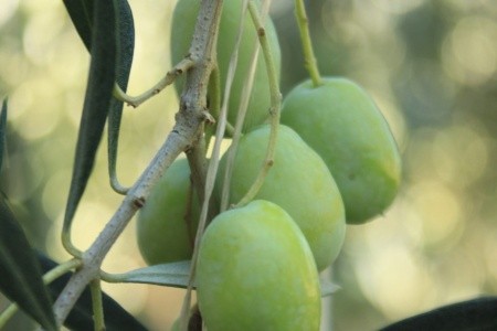 Apartmány 3298-2028 - 45