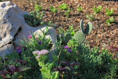 Apartmány 3298-1899 - 18