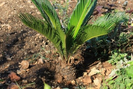 Apartmány 3298-1899 - 17