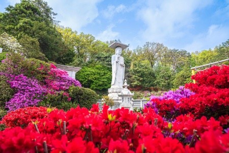 To nejlepší z Jižní Koreji - 23