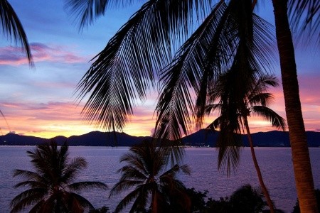 Tribe Phuket Patong - 5