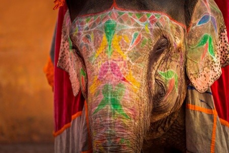 Indický trojúhelník - 12