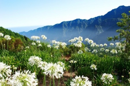 MADEIRA – EXOTICKÝ RÁJ - 1