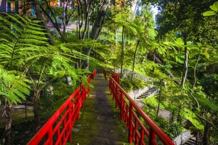 MADEIRA – EXOTICKÝ RÁJ - 9