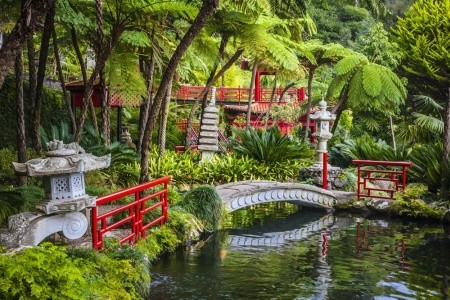 MADEIRA – EXOTICKÝ RÁJ - 11