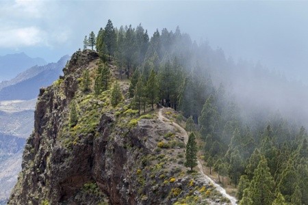 KANÁRSKÉ OSTROVY – GRAN CANARIA - 15