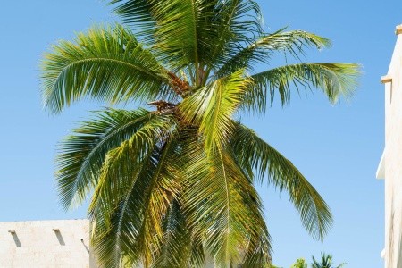 Grand Bávaro Princess - 151