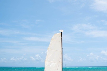 Tropical Deluxe Princess - 148