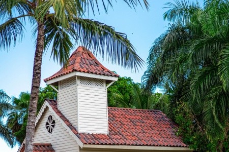 Tropical Deluxe Princess - 156