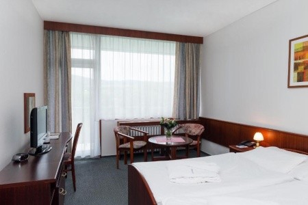 Ensana Splendid Health Spa - 3