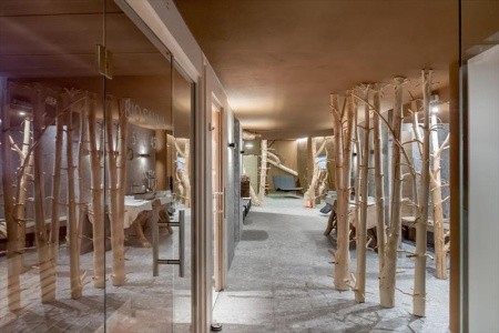 Wieser Apart Hotel Garni (Sölden) - 4