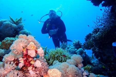 Steigenberger Golf Resort - 62