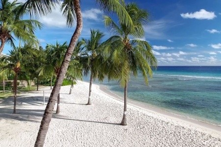 Coconut Court Beach Resort - 5