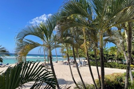 Coconut Court Beach Resort - 8