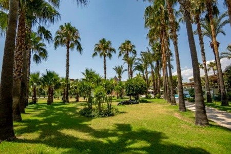 Mc Beach Resort - 26