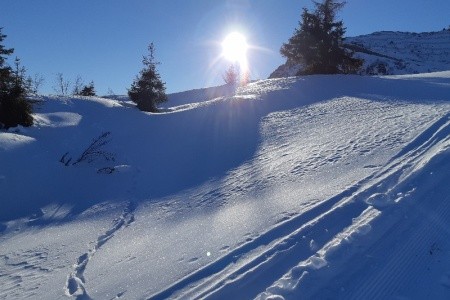 La Dane – Zoncolan Aparthotel & Spa - 13