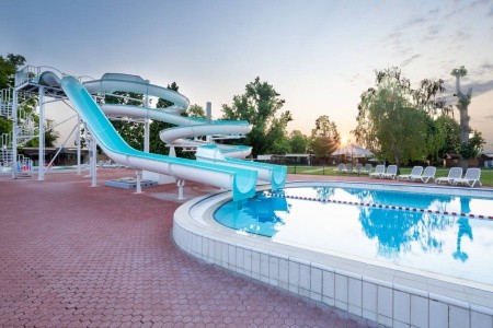 Narcisa (Banovci) - 27