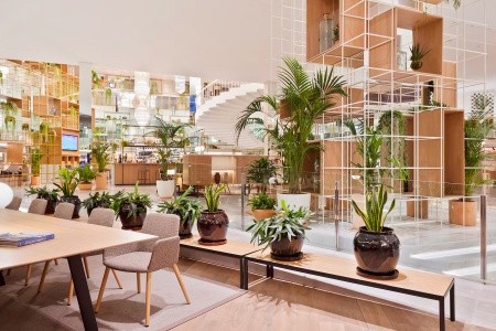 Melia Palma Marina (Ex. Melia Palas Atenea) - 7