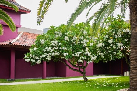 Caribe Deluxe Princess - 94