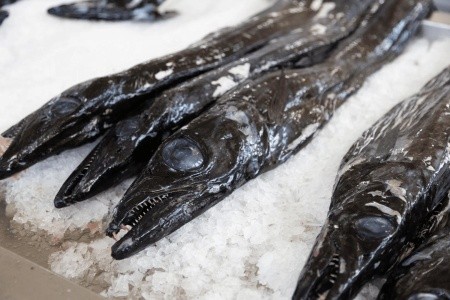 Relax na Madeiře - 21