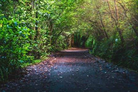 Turistika a koupání na Madeiře - 2