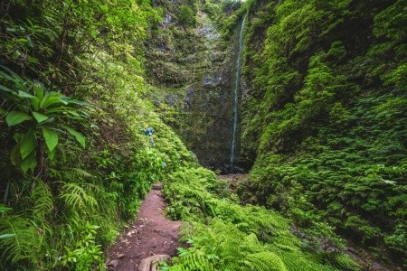 Turistika a koupání na Madeiře - 8