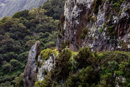 Turistika a koupání na Madeiře - 14