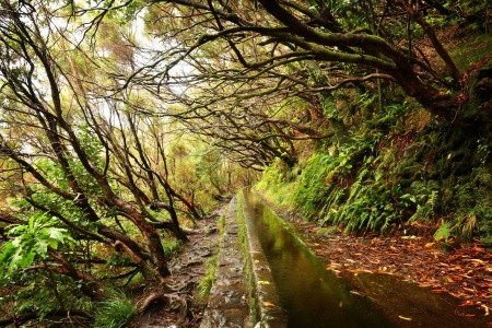 Turistika a koupání na Madeiře - 35