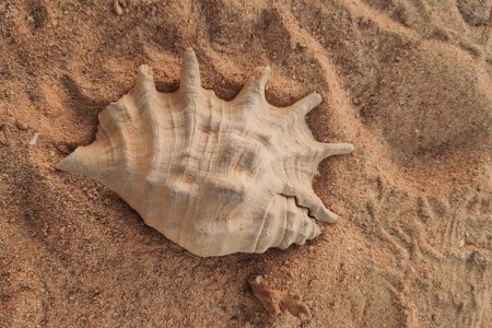 Malý okruh Egyptem s koupáním v Hurghadě - 18