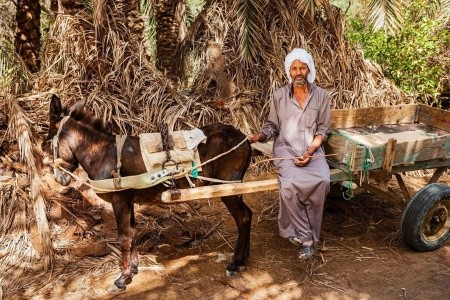 Oáza Síwa s pobytem u moře s odletem z Prahy - 13