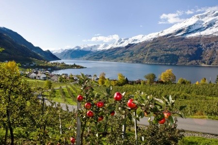 BERGEN A KRÁLOVSTVÍ FJORDŮ - 3