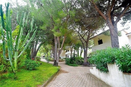 Villaggio Pineta Petto Bianco - 5